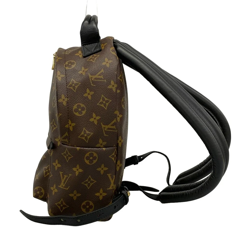 Louis Vuitton Palm Springs Backpack PM Monogram Backpack M41560